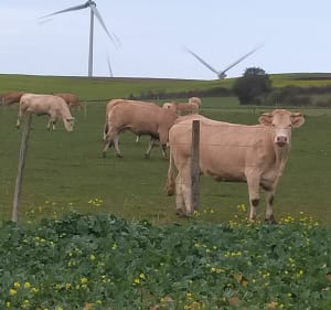 Randonnée à Velennes (80) - Velennes - 2