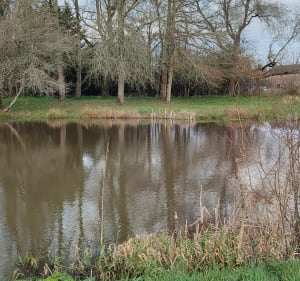 Les différents chemins de la Babinière par le Gros Buisson - Vigneux-de-Bretagne - 2