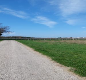 Balade par la Thibaudière et Saint-Gilles - Saint-Pierre-d'Oléron - 2