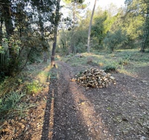 Forêt de Darbousson - Valbonne - 2
