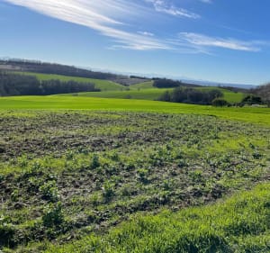 Boucle Les coteaux de Capens - Capens - 2