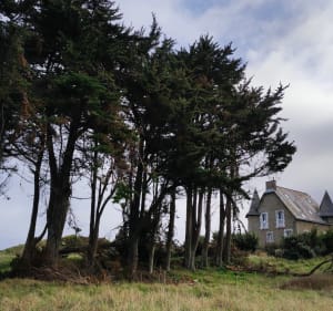 Pointe de Saint Briac - Saint-Briac-sur-Mer - 2