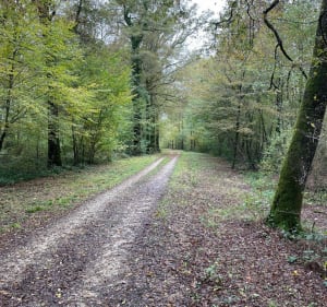 Sortie vtt roulante depuis Emagny - Raphael - 2