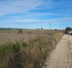 Boucle Parignargues par Gajan et Font de St-Pierre - Parignargues - 2