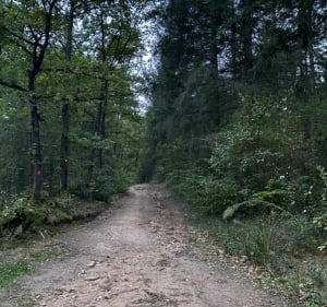 Balade de La Fouillouse vers St Galmier - La Fouillouse - 2