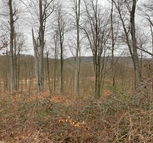 Le Mont du Voliard depuis Pierrefonds - Ophélie - 3