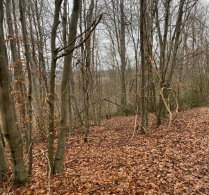 Le Mont du Voliard depuis Pierrefonds - Pierrefonds - 2