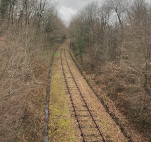 Le sentier des Forêts de Loubert - Terres-de-Haute-Charente - 2