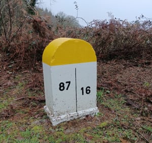 La Charente limousine vers" le rocher des oiseaux" - Saint-Brice-sur-Vienne - 2