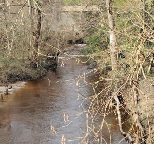 Grand bol d'air dans les sous-bois du Moulin de Charlot - Marcenais - 2