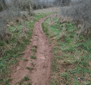 Sur les hauteurs des Montboucons - Besançon - 2