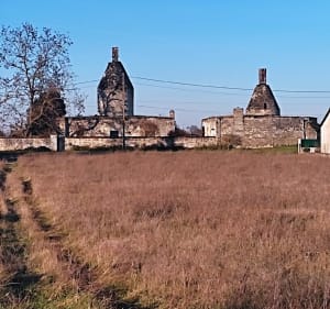 Balade à Chouzé sur Loire - Chouzé-sur-Loire - 2
