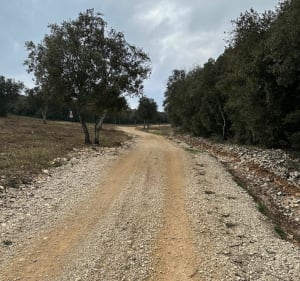 Grande Balade en gravel au départ de Nîmes - Nîmes - 2