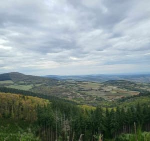 Entre vignes et forêts à Serrières - CATH - 4