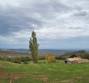 Entre vignes et forêts à Serrières - Serrières - 2