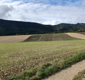 Die à Chamaloc par Romeyer à VTT - SAMUEL - 4