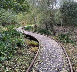 Découverte de la vallée de la Gondoire - Chanteloup-en-Brie - 2