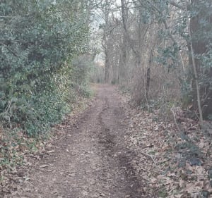 Le chemin du  Paradis à La Souterraine - La Souterraine - 2
