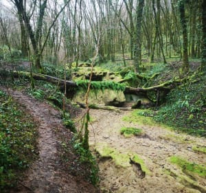 Caillon-waterval - Floirac - 2