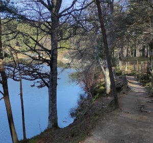 Balade autour du lac du Moulinet - Le Buisson - 3