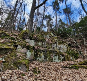 Du côté de Bergholtz par Orschwihr - Bergholtz - 2