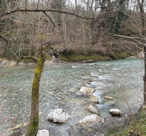 Sentier du pêcheur depuis Frangy - Frangy - 2