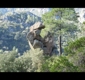 Fréjus, Les Suvières au coeur de l'Esterel - Fréjus - 2