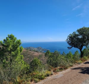 VTT dans l'Esterel vers le pic du Loup - Mandelieu-la-Napoule - 2
