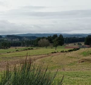 A travers les chemins de Montfaucon-en-Velay - Stéphanie - 3