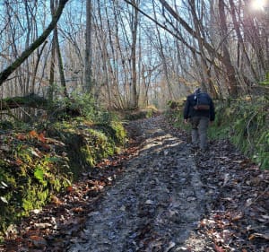 Marche vers Cintegabelle par la Gardette de Dessus - Cintegabelle - 2