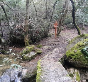 Le long de la Brague et Cascade  du Bruguet - Valbonne - 2