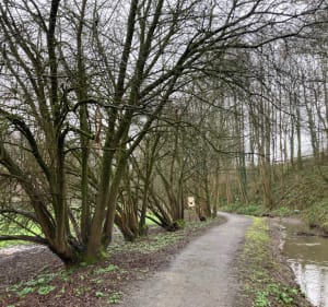 Circuit dans les petits chemins creux autour de St-Lô - Saint-Lô - 2