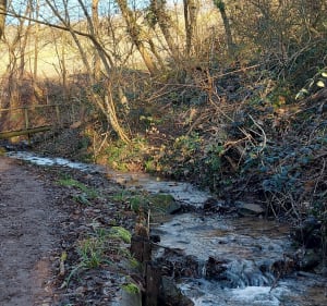 Entre Turckheim et Niedermorschwihr avec son clocher vrillé - Turckheim - 2