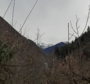 La tour de Castel Vielh depuis Bagnères - Bagnères-de-Luchon - 2