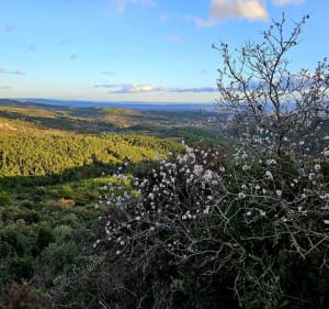 Félines Minervois, des rivières au Ventajou - Maxime - 3