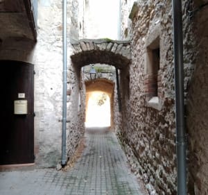 Le Moulin d'Auzon - Allègre-les-Fumades - 2