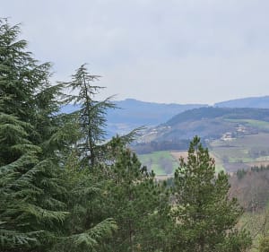 Les Hauts de Chevagny-les-Chevrières - Chevagny-les-Chevrières - 2