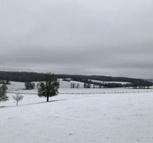 Entre forêt et point de vue à Saint-Maurice-sur-Montagne - TV - 2