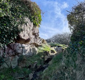 De la plage du Guen à la Fosse-Eyrand, entre mer et bois - Erquy - 3