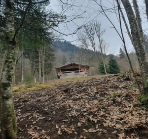 Petit tour de la Biolle - Marnaz - 2