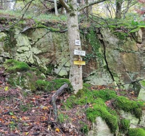 Cantine Zeller à Wattwiller - Wattwiller - 2
