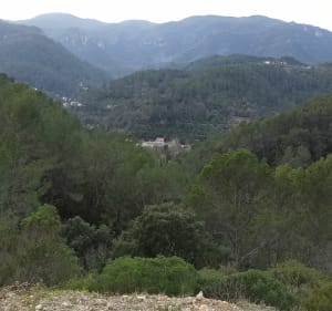 Vers les barres de Cuers - Solliès-Pont - 2