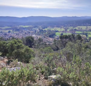 Sur la crête Entre Brignoles et Camps la Source Camps la sou - Brignoles - 3