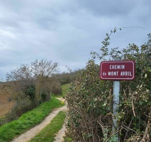 Boucle Madone de Givry Mont-Avril - Givry - 2
