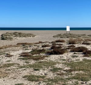 De Villeneuve de la Raho à la plage de St Cyprien - Saleilles - 2