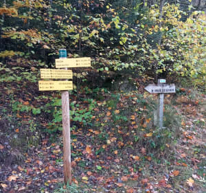 Het moeras van Seigliéres - Saint-Martin-d'Uriage - 2