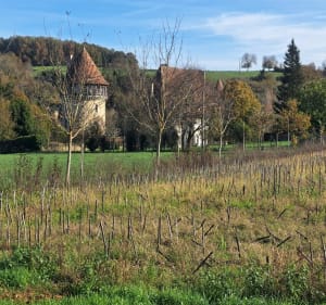 A la découverte des vallées de la Tardoire et de la Renaudie - Montbron - 2