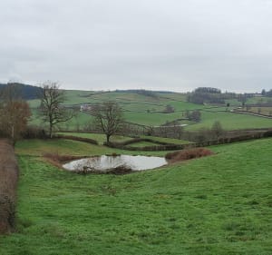 Le tour du petit lac de Pannecière - Montigny-en-Morvan - 2