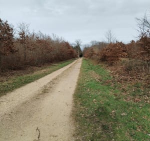 Rando en forêt de Châteauneuf-en-Thymerais - Saint-Maixme-Hauterive - 2