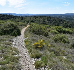 Le Coulazou à Murviel niveau 1/2 - Murviel-lès-Montpellier - 2